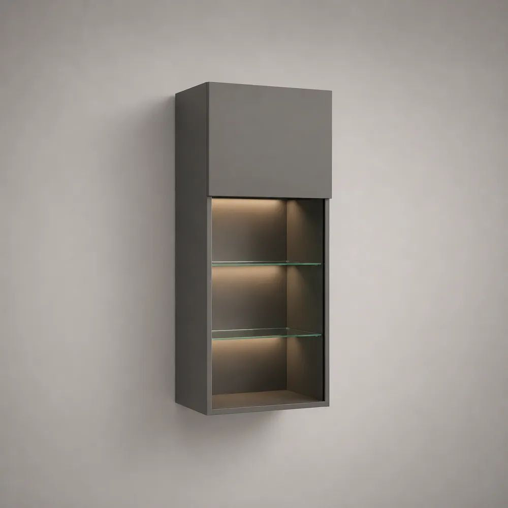 Hängevitrine mit LED-Beleuchtung und 2 Glasböden aus MDF, Anthrazit, 45 × 25 × 110 cm
